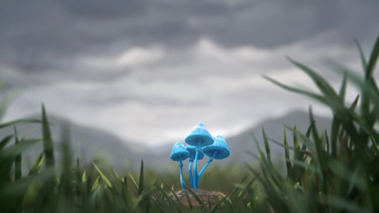 Beyond the Blue Angel