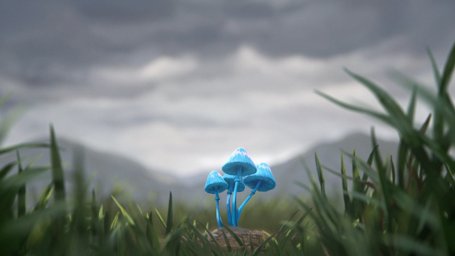 Beyond the Blue Angel
