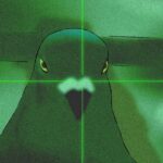 Common Side Effects Animation