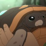 Socrates the Tortoise in Common Side Effects