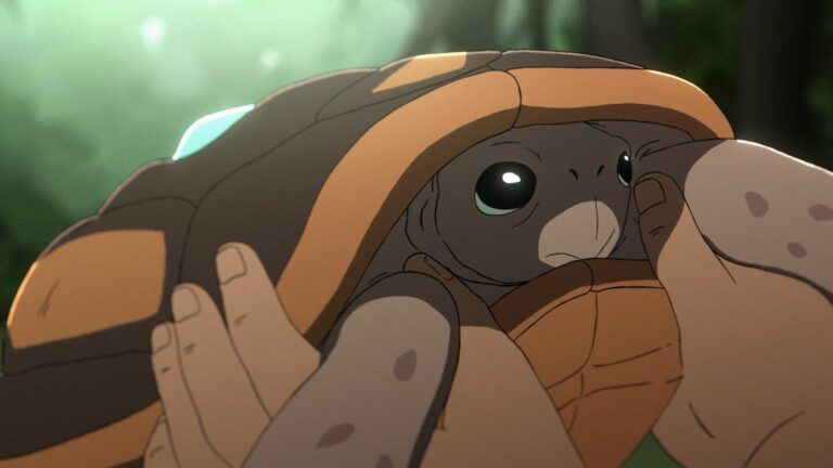 Socrates the Tortoise in Common Side Effects